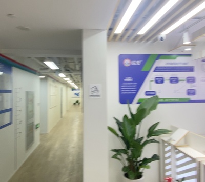 上海锐英思信息咨询 立足上海的专业信息咨询服务解析